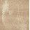 Ковер  NATURAL10 RETE dark beige